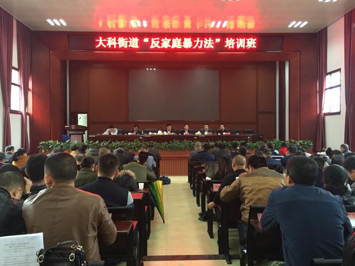 反家庭暴力培训班.jpg
