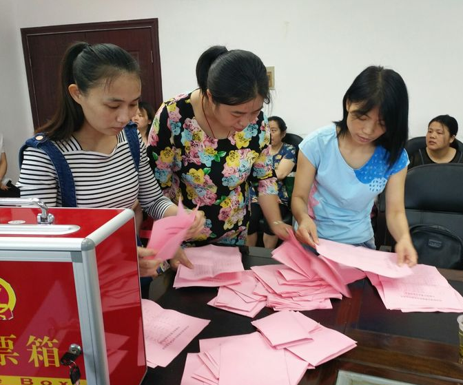 株洲市荷塘区桂花街道办事处妇联换届选举