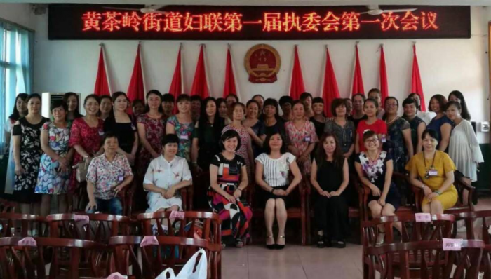 黄茶岭街道妇女换届图片 (3).png
