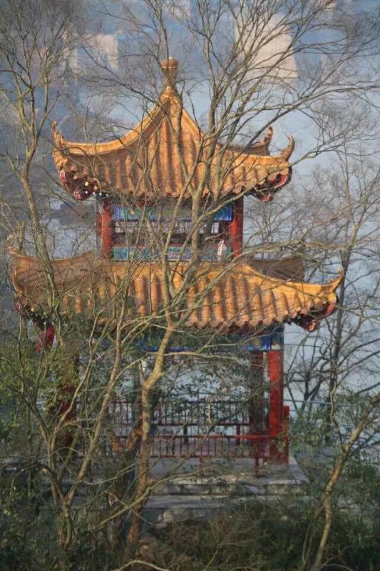 微信图片_20180117144638.jpg