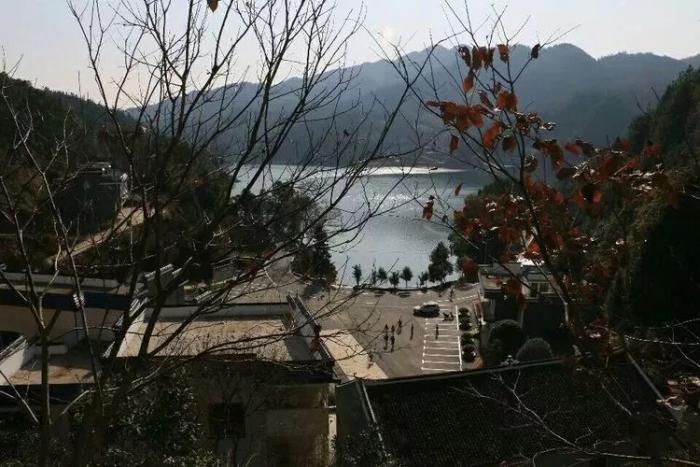 7微信图片_20180117145514.jpg