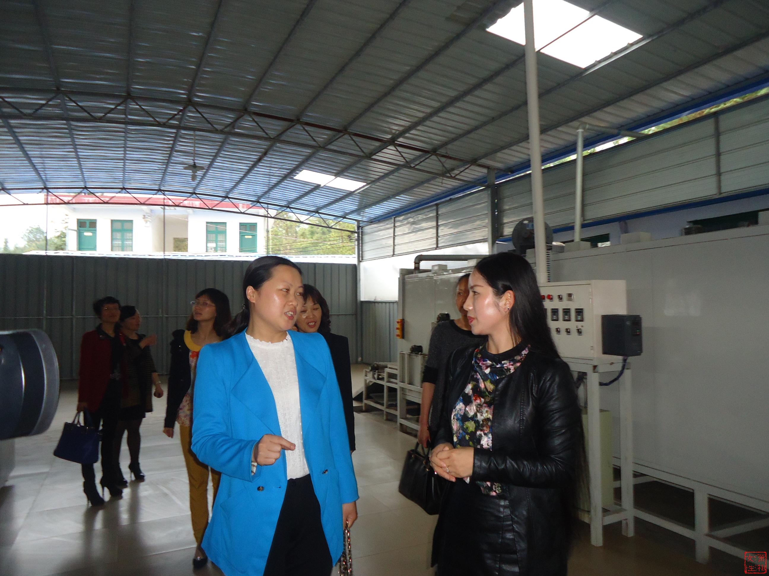 郴州市妇联调研80后女企业家创业成果