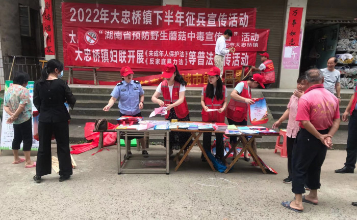 大忠桥镇妇联普法宣传.jpg