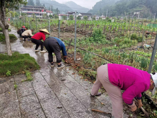 微信图片_20230523172505.png