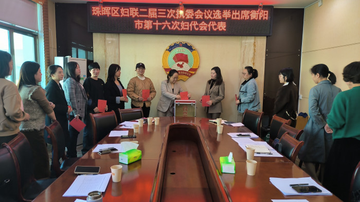 选举图片.jpg