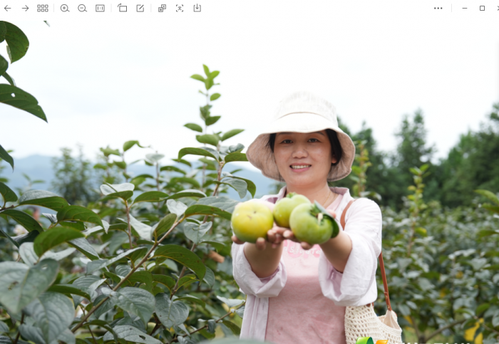 6ab72899cfa80f6d2f314bd94d4795c.png