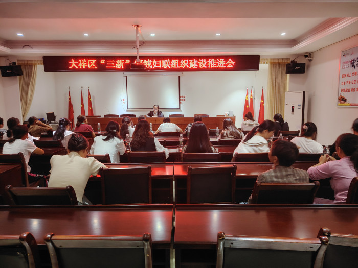 区妇联三新妇联组织建设推进会.jpg