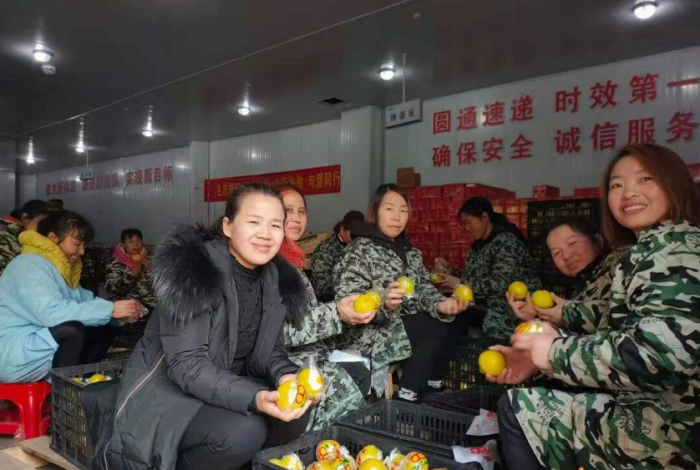 图片8.png