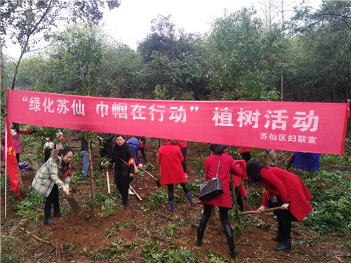 苏仙植树2.jpg