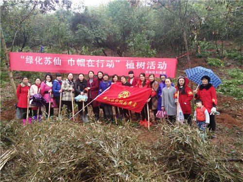 苏仙植树1.jpg