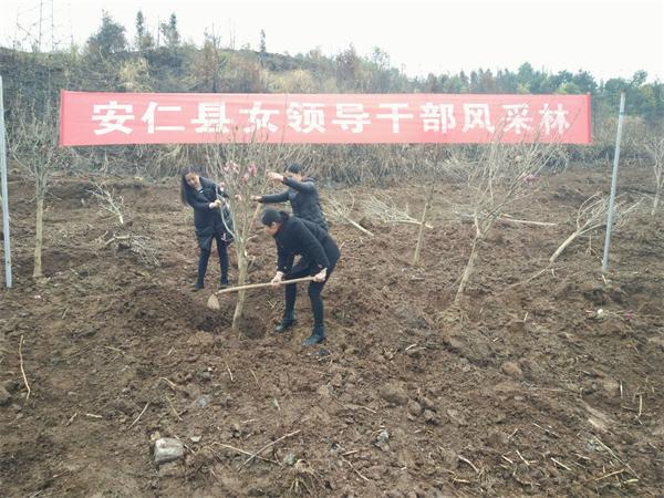 QQ图片20160316105511_看图王.jpg