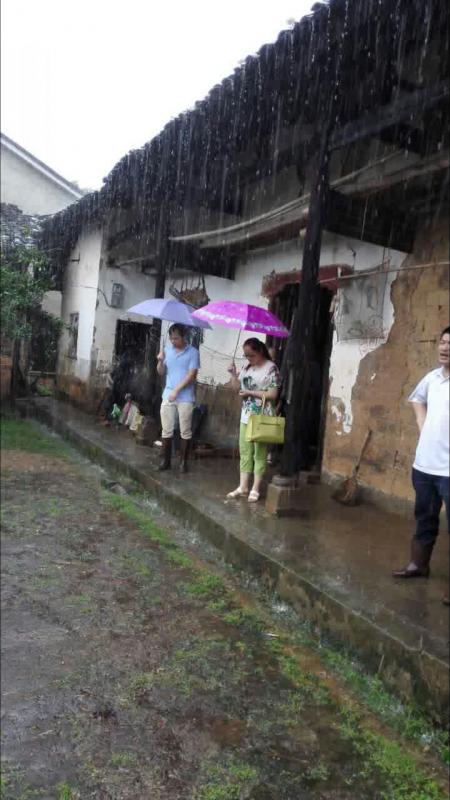 六塘乡六塘村支部书记邵纯华冒雨查看危房.JPG