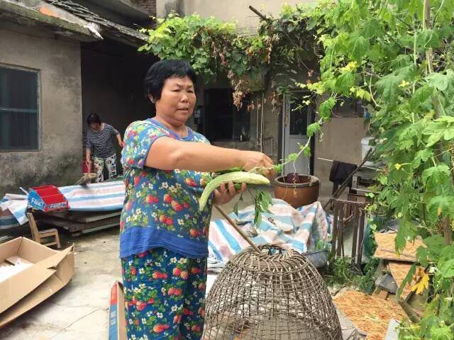 QQ图片20160713151533.jpg