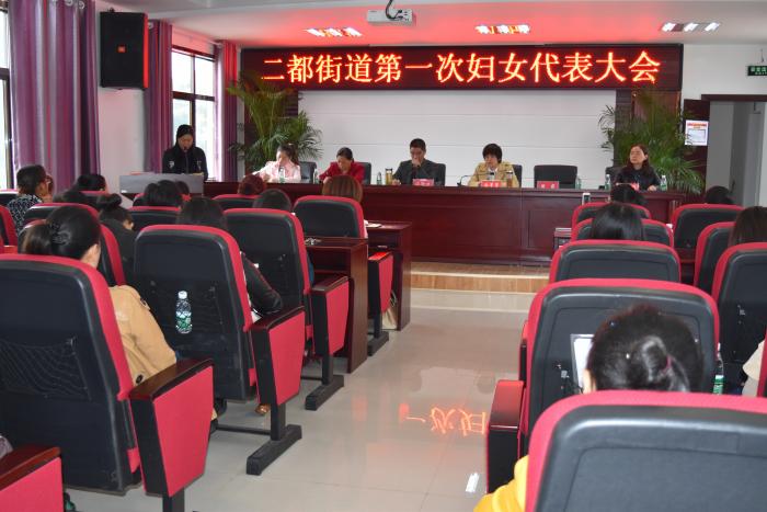 妇联主席做工作汇报.JPG