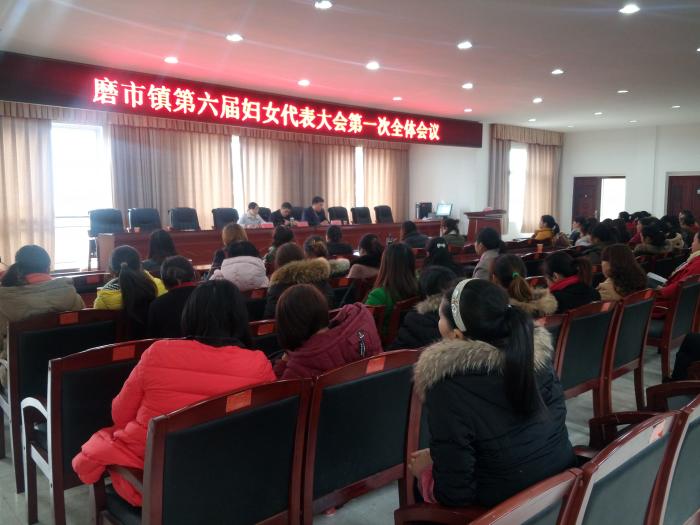 磨市镇妇联换届工作会议.jpg