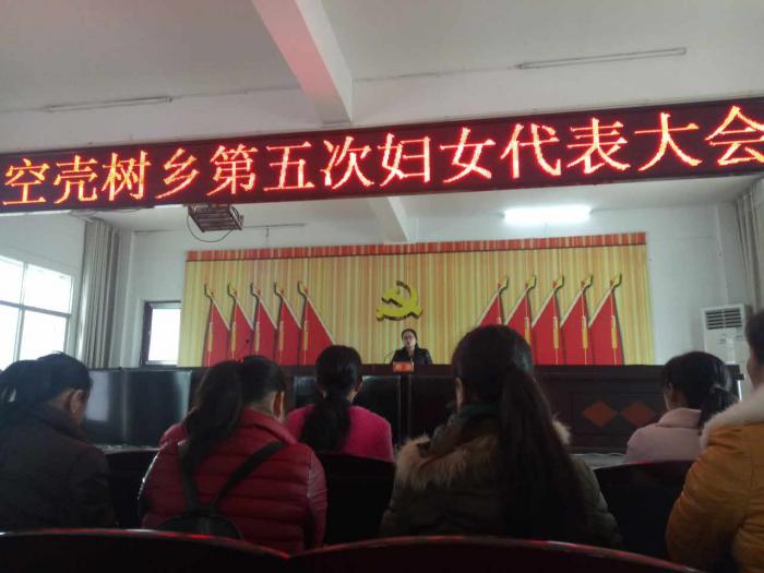 空壳树乡妇联选举.jpg