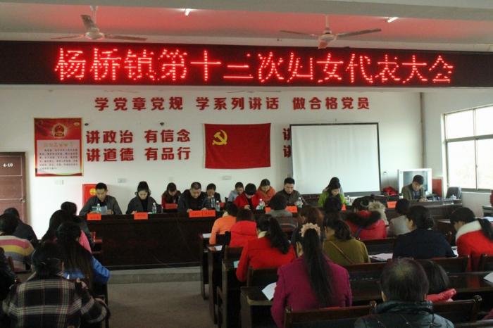 杨桥镇第十三次妇女代表大会会场2.JPG