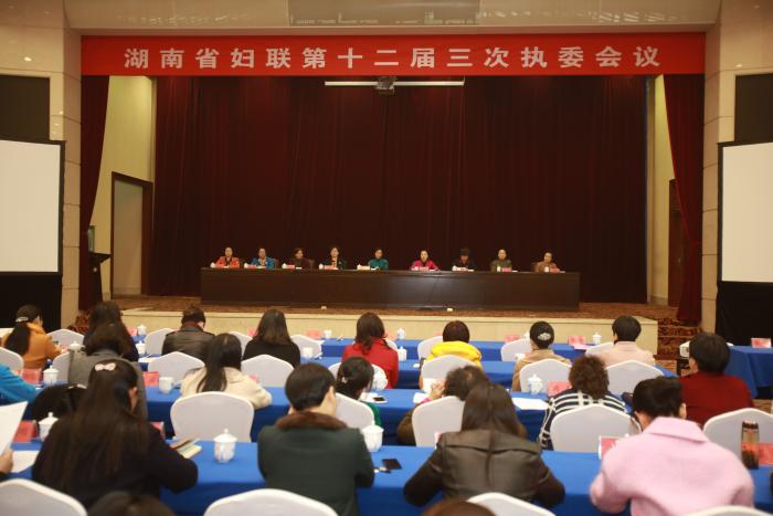 湖南省妇联第十二届三次执委会议现场.JPG