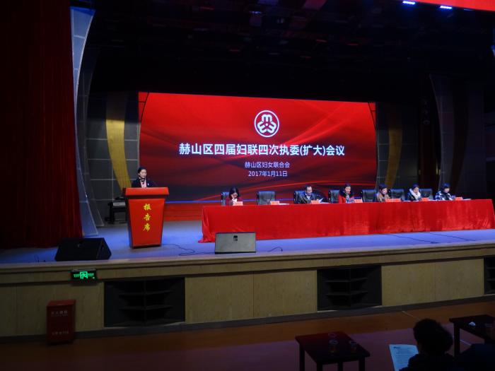 区妇联王艳主席作报告.jpg