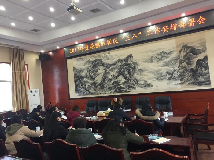 镇妇联庆三八工作部署会议.png
