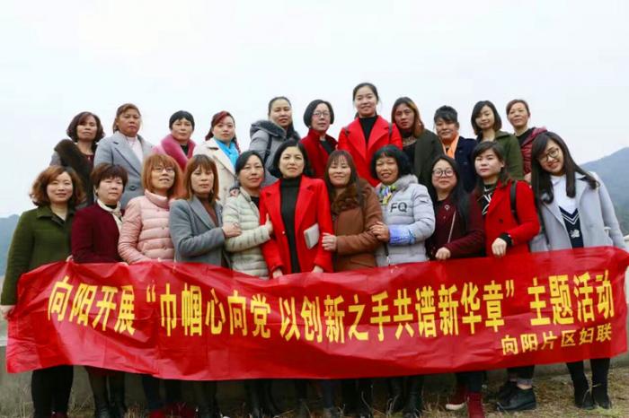 向阳活动.jpg