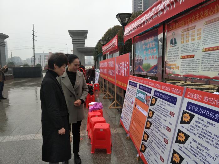 市委常委、组织部长傅丽华观看反家庭暴力宣传展板.jpg