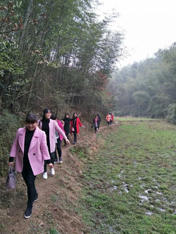 镇机关登山活动.jpg