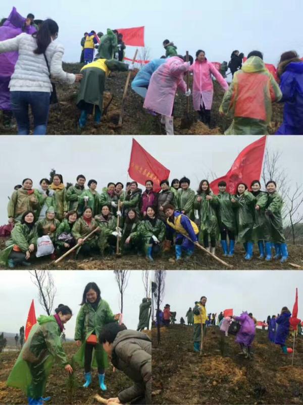 QQ图片20170314171806.jpg