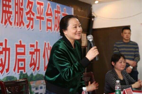 姜欣参加湖南省妇联驻湴塘村产业发展服务平台成立暨企业对口帮扶活动。.jpg