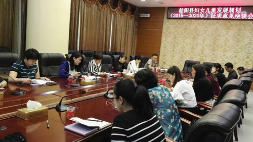 妇儿规划座谈会1.jpg