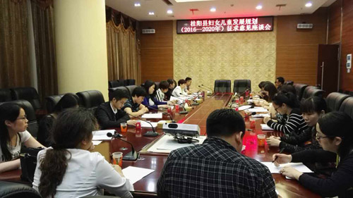 妇儿规划座谈会2.jpg