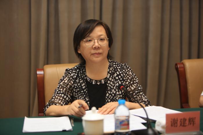 湖南省副省长、省政府妇儿工委主任谢建辉出席会议并讲话.JPG