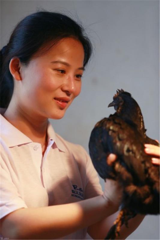 周文和她的“文妹子”乌骨鸡.jpg