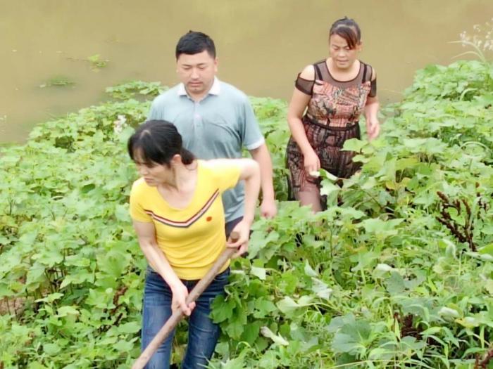 木塘垸妇女干部为群众除杂清障1.JPG