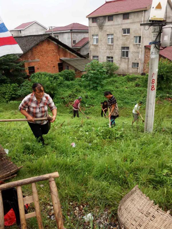 木塘垸妇女干部为群众除杂清障3.JPG