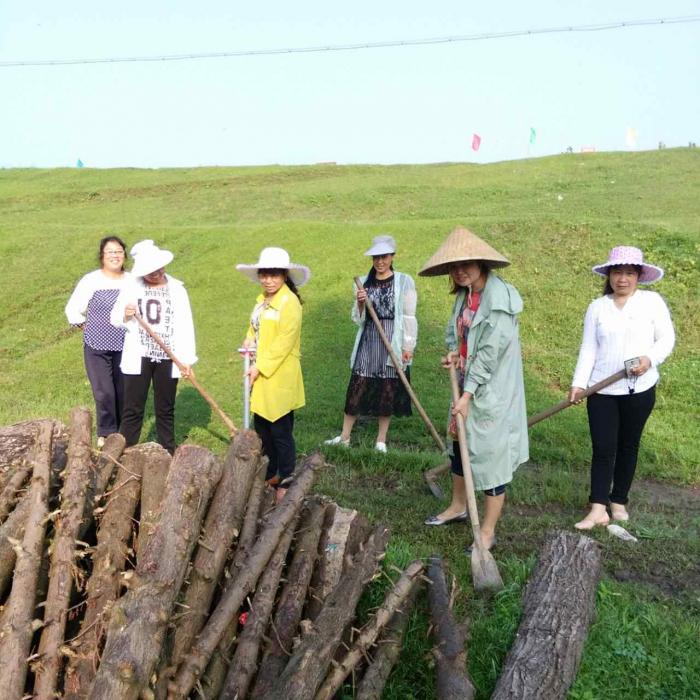 中鱼口艳洲村艳民片区女子防汛队一.jpg