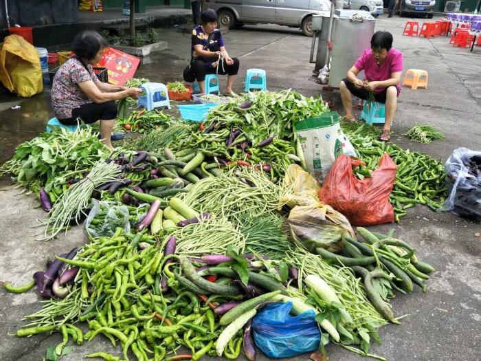 架桥镇对口支援木塘垸，群众自发帮灾民送菜.JPG