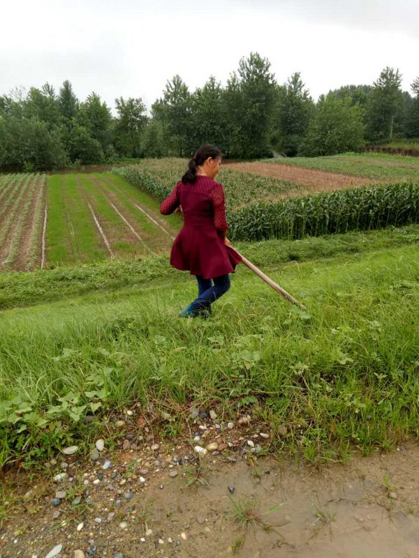 木塘垸妇女干部为群众除杂清障4.JPG