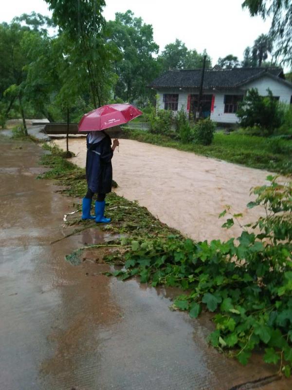 茶庵铺女干部察看村级主要沟渠.JPG