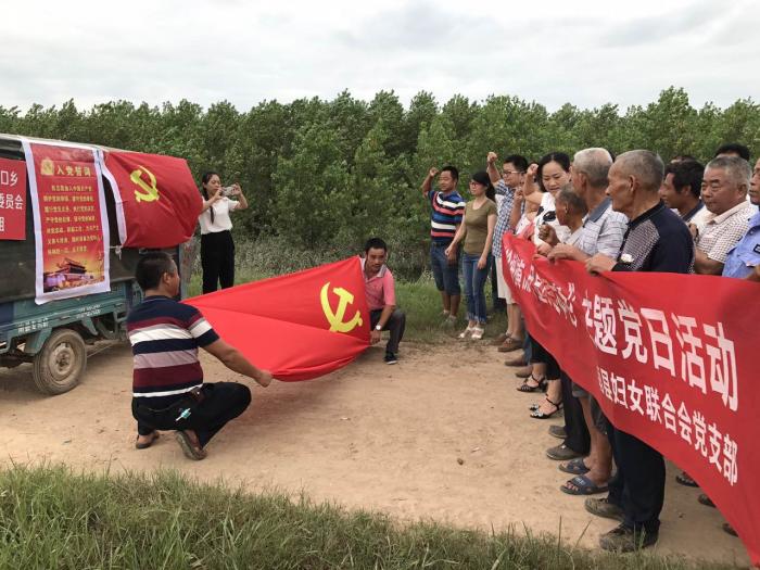 南县妇联“沧海横流 尽显党员本色”党员活动照片二.jpg