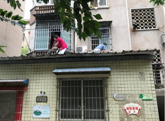 QQ图片20170929090547.jpg