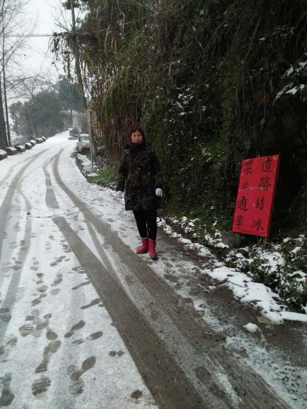 理公港镇妇联执委、观音垭村支书张华英在路口提醒过往车辆注意安全.jpg