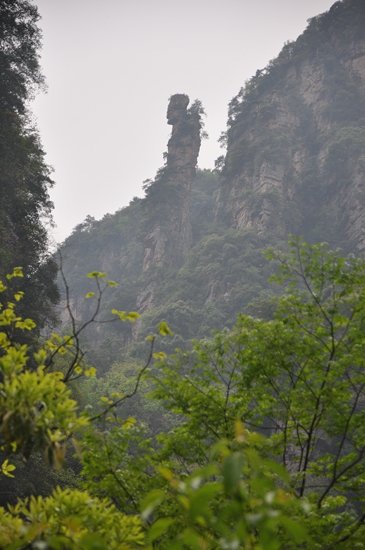 DSC_0044.JPG