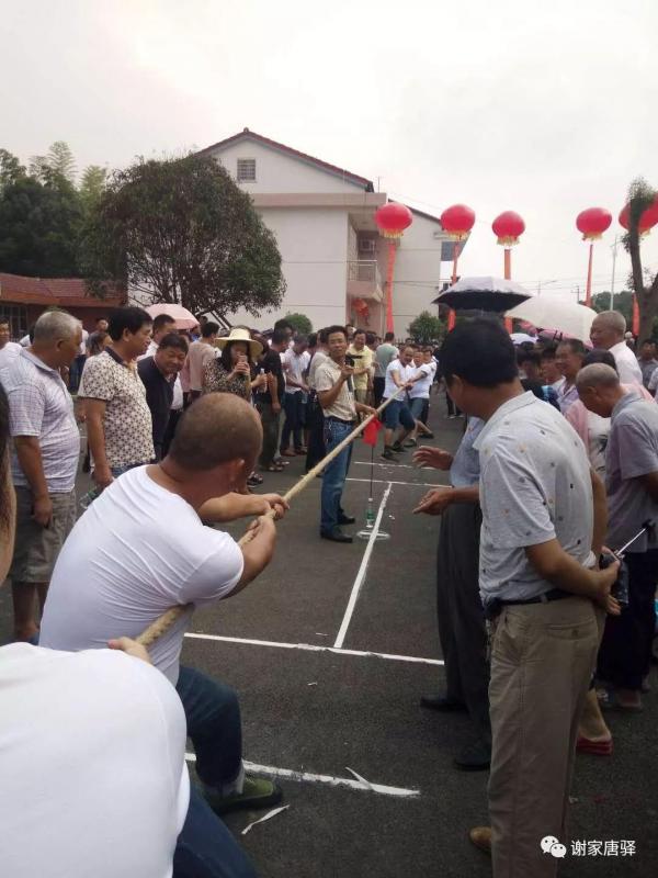 谢家铺镇拔河比赛.jpg