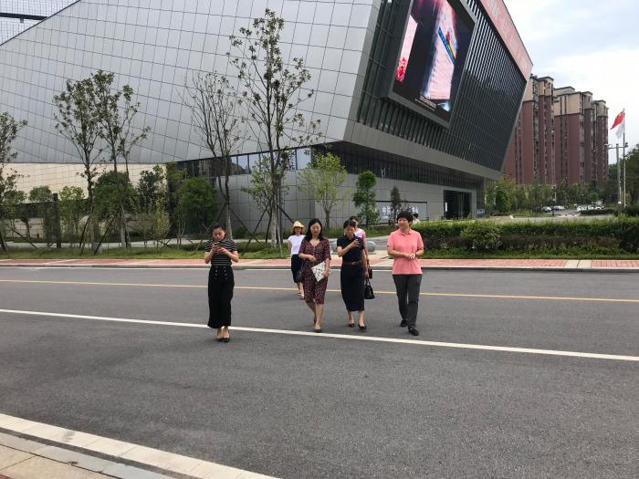 7.3市妇联副主席罗玉珍指导和调研天元区妇联工作8.png