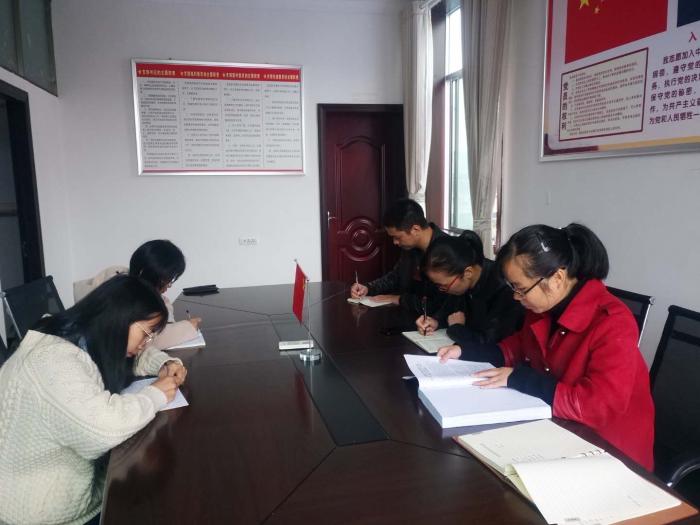靖州县妇联团县委联合支部开展“全年基层党建工作回头看”主题党日活动.jpg