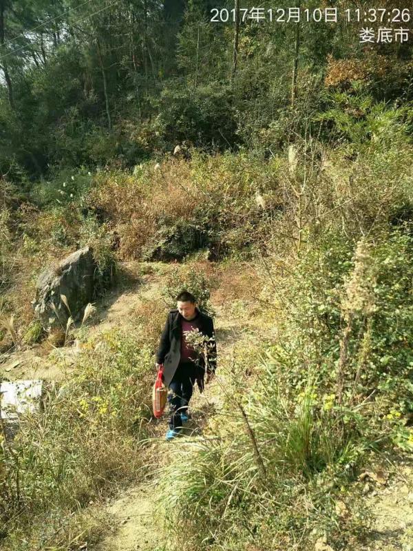微信图片_20181115154611.jpg