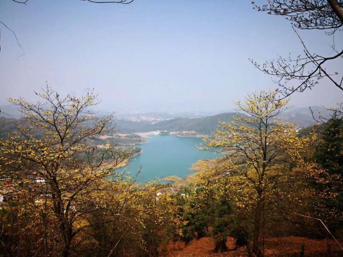 微信图片_20190314165106.jpg