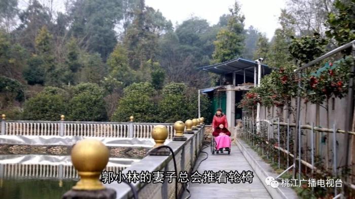 微信图片_20190320150834.jpg