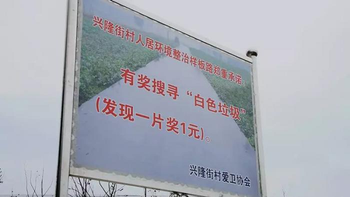 草坪环境整治4.jpg